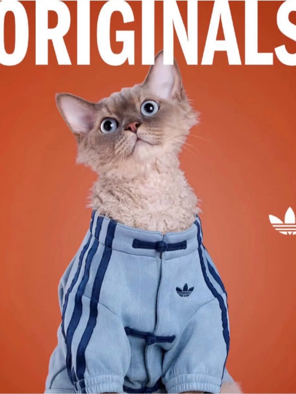 Adidas Chinese New Year dog clothes Blue Small